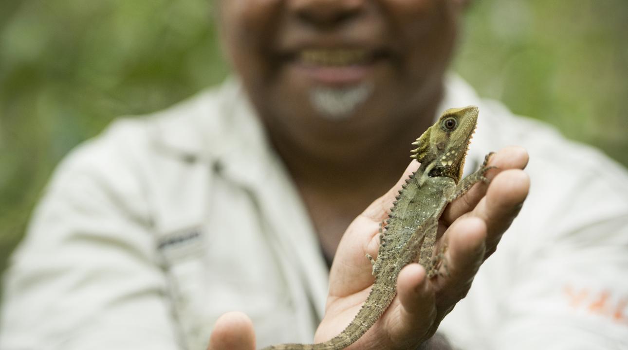 Tourist guide holding an iguana 
