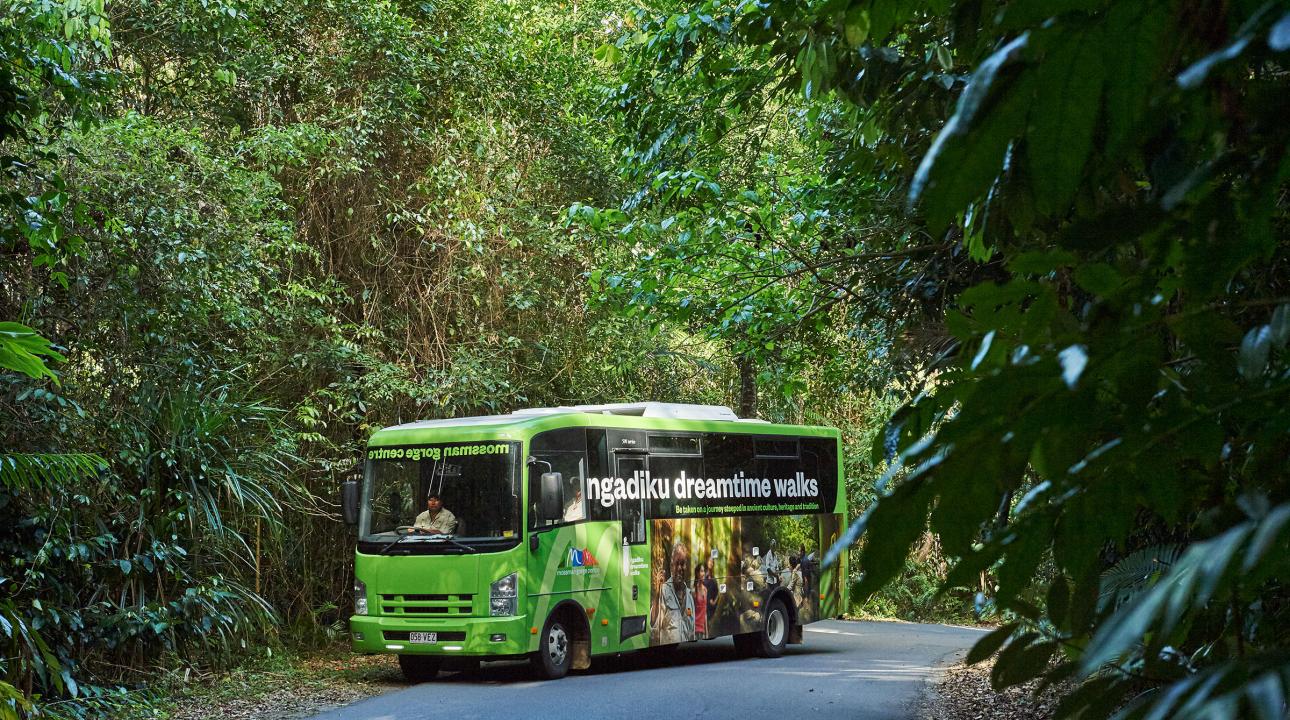 The Mossman Gorge Coach