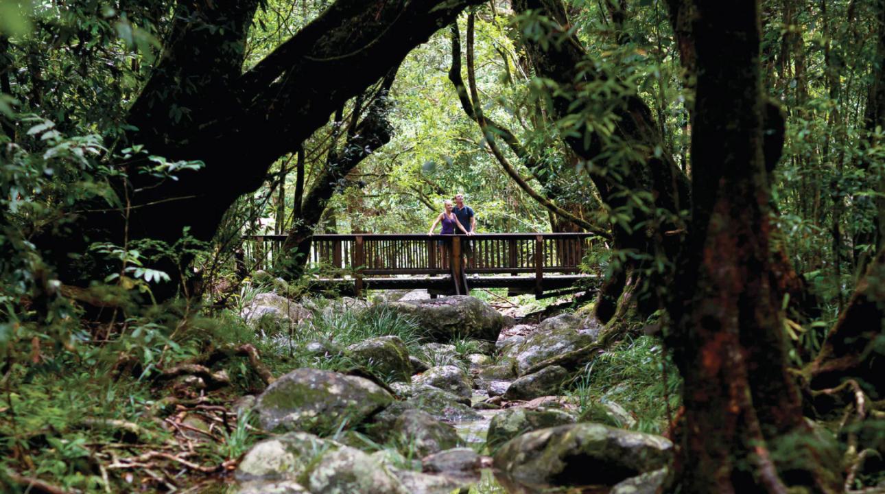 Couple standing on a bridge in the woods