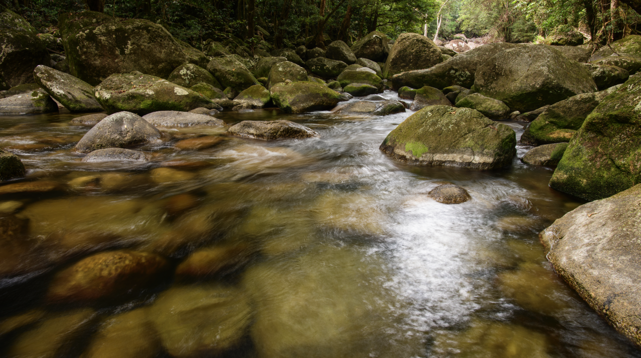 Beautiful MGCC waterways.png