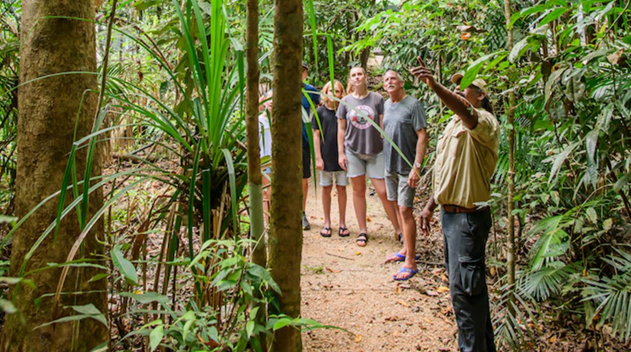 Guide showing the delights of Mossman Gorge