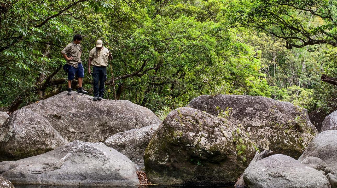 Indigenous guides at Mossman Gorge