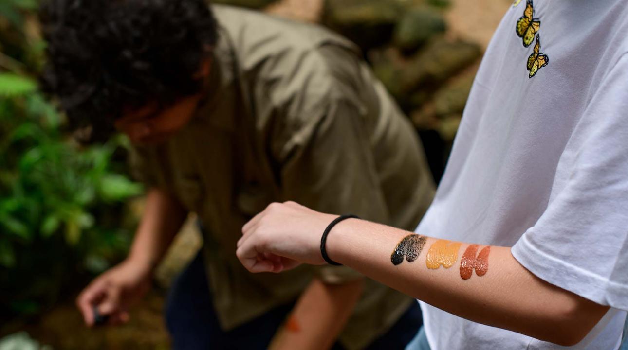 Girl with Indigenous arm paint.jpg