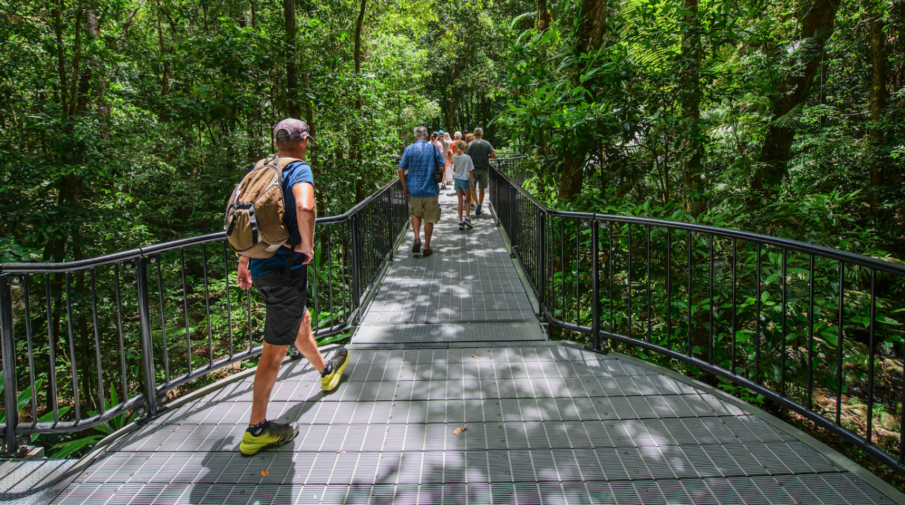 Self-guided walks at Mossman Gorge