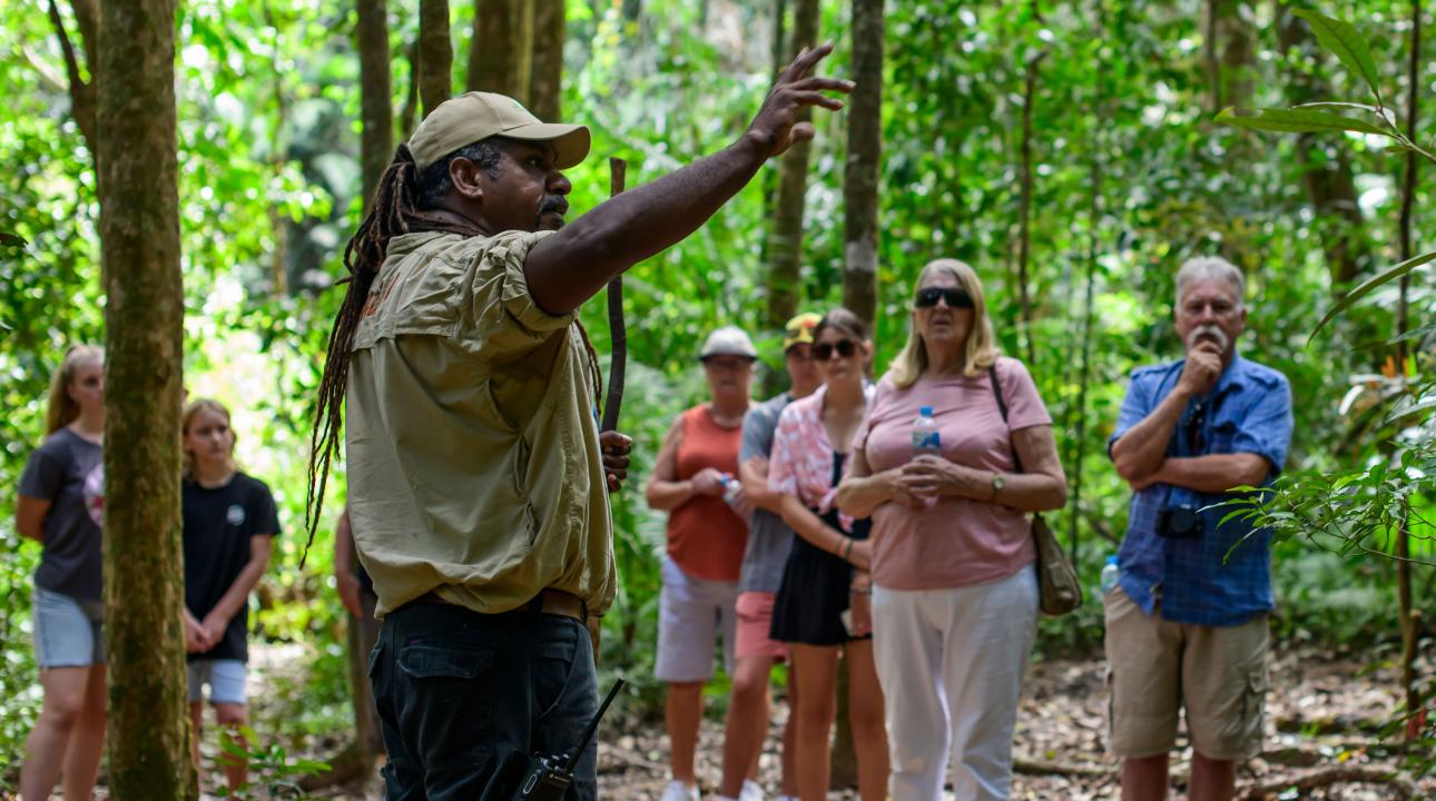 Mossman Gorge Dreamtime Walk