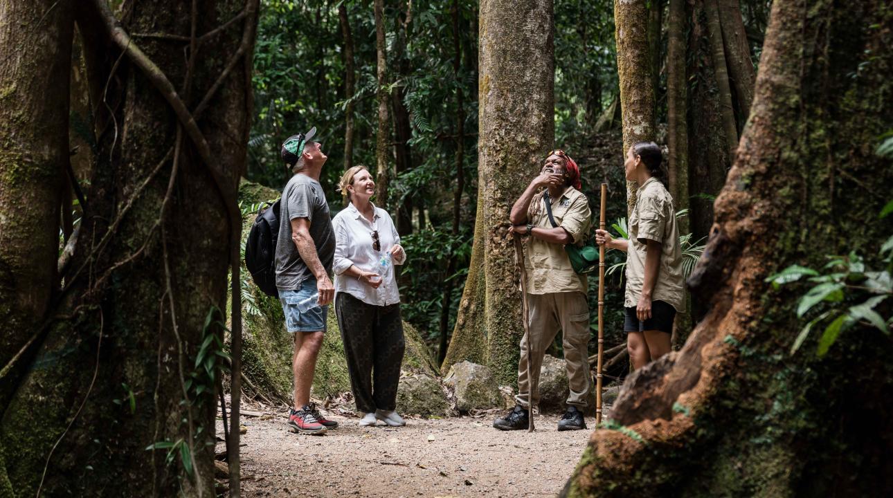 Two Guides and Two Visitors on the Dreamtime Walk at Mossman Gorge