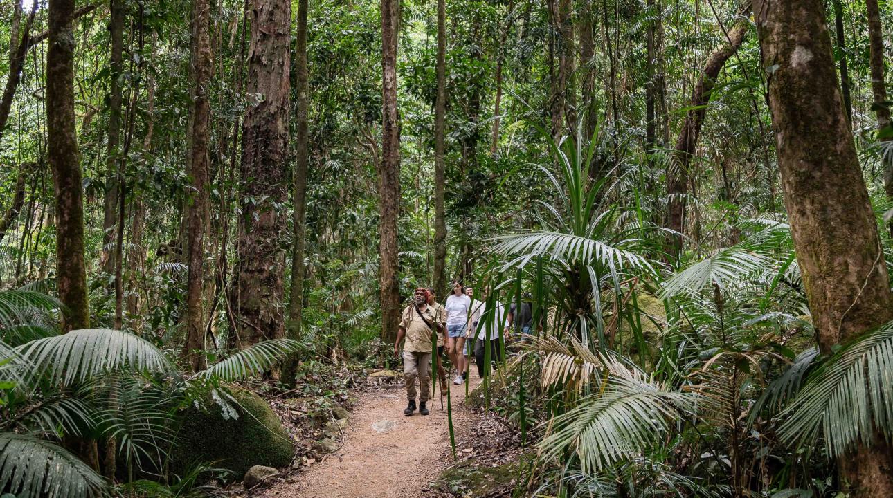 Guide and group walking through Mossman Gorge on the Dreamtime