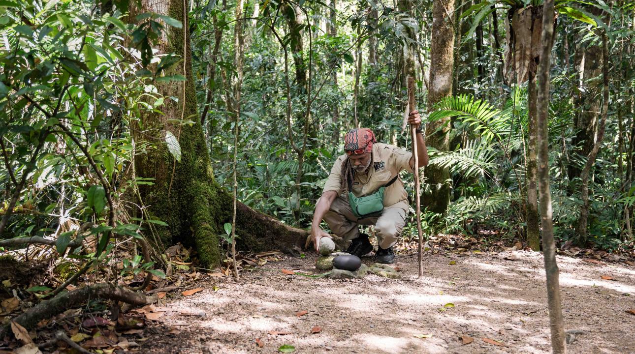 MGCC guide in Mossman Gorge