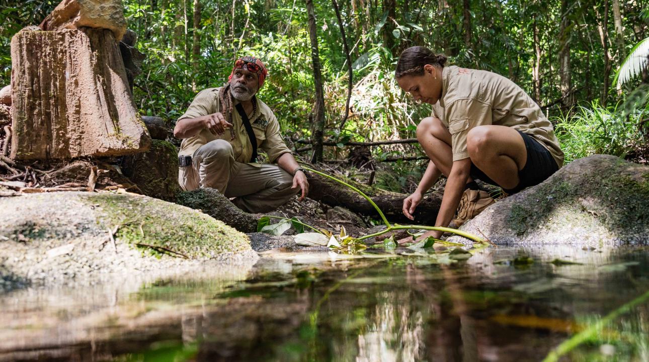 Two guides washing flora in Mossman Gorge