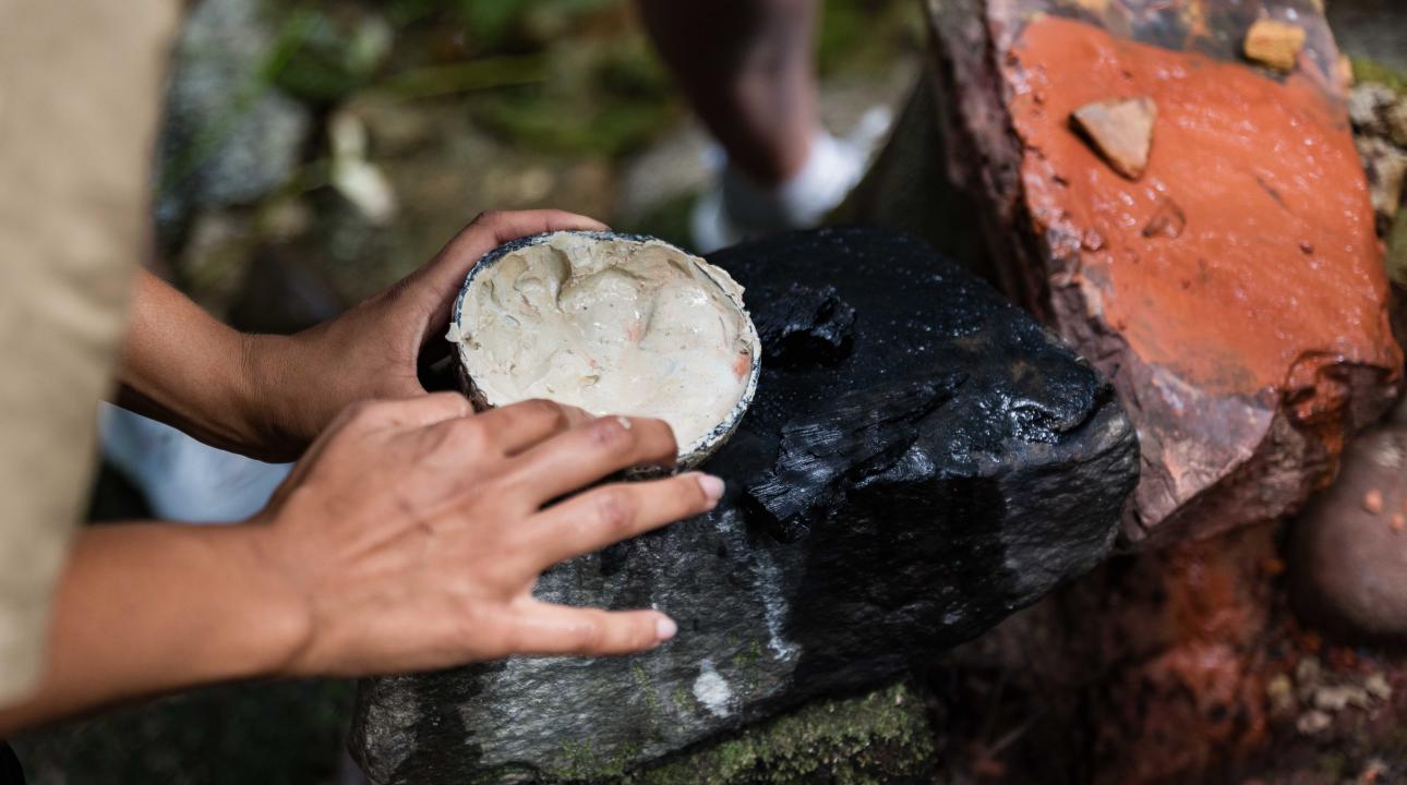 Rock painting demonstration during the Dreamtime Walk at Mossman Gorge