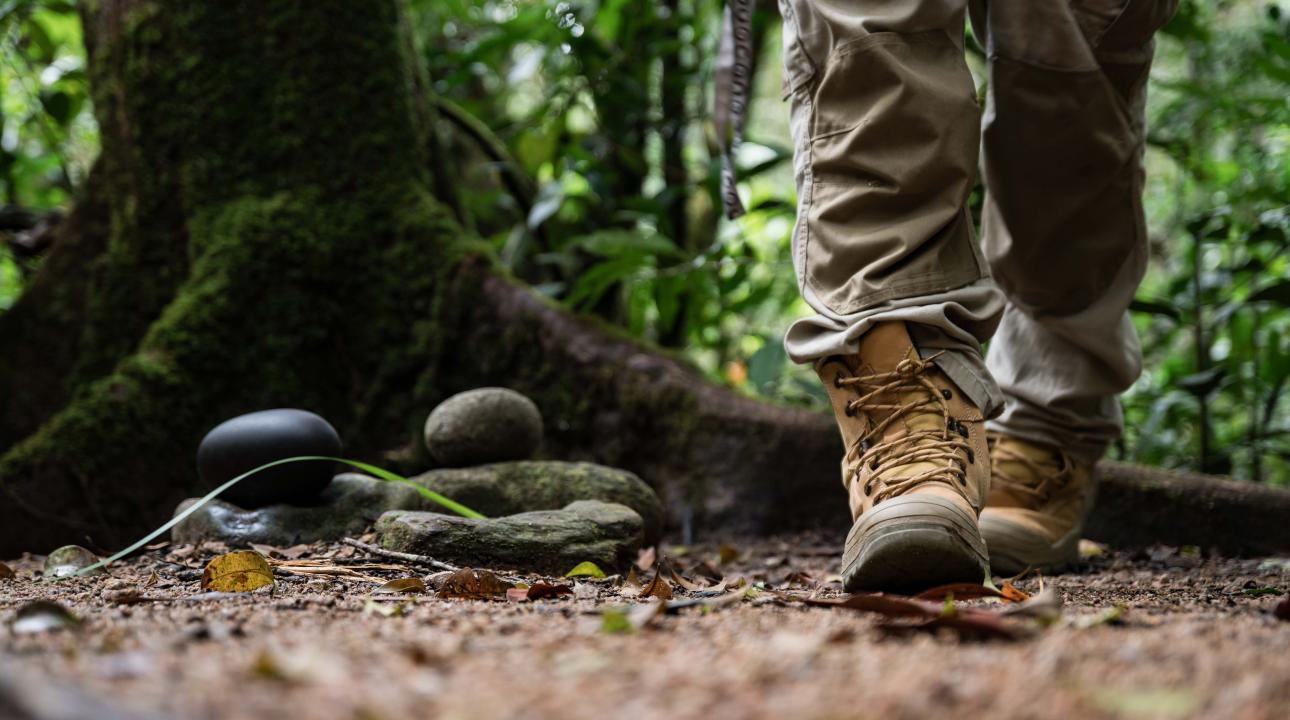 Guide walking through Mossman Gorge