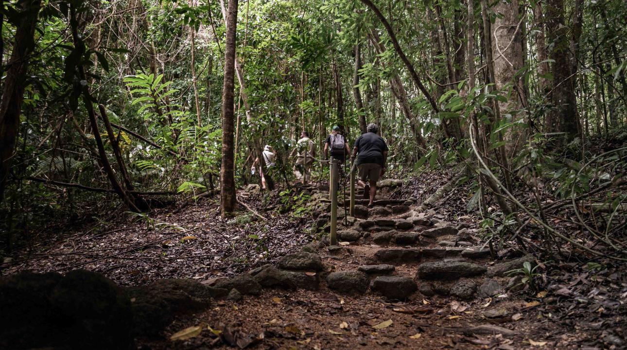 Mossman Gorge Dreamtime Walk