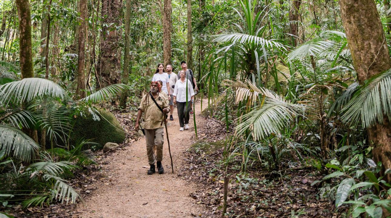 group walking through Mossman Gorge