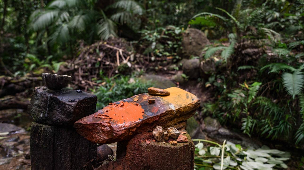 Painting on a rock in Mossman Gorge rainforest