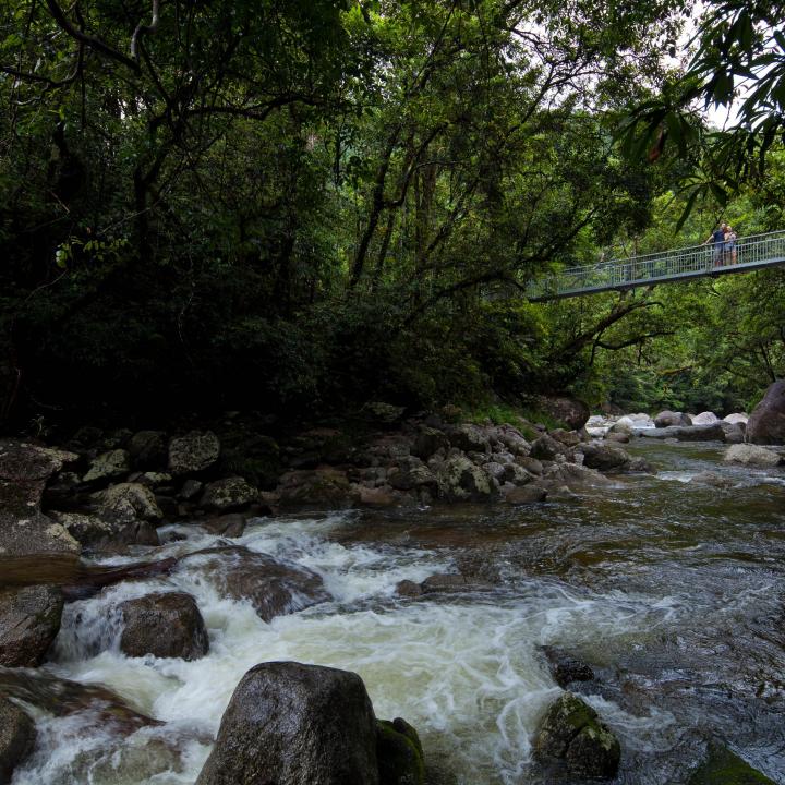 Bridge over a river