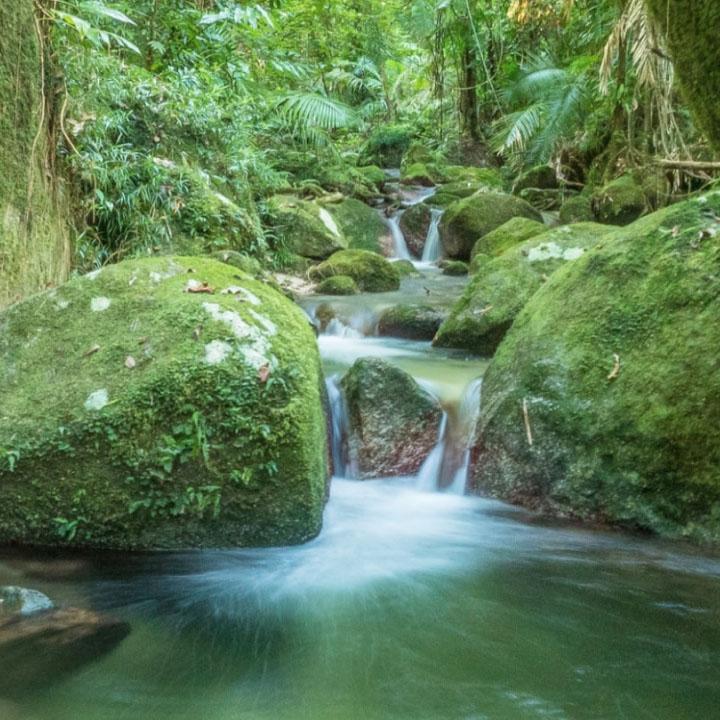 A small waterfall flowing through the forest