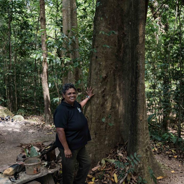 MGCC Staff Member standing next to a tree at Mossman Gorge