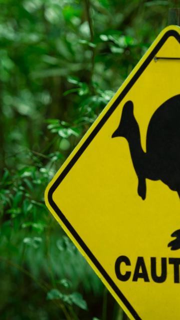 Caution sign with an image of an emu