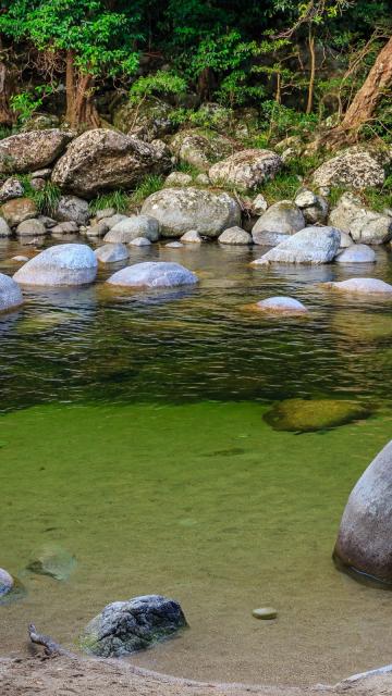 Jungle river with rocks