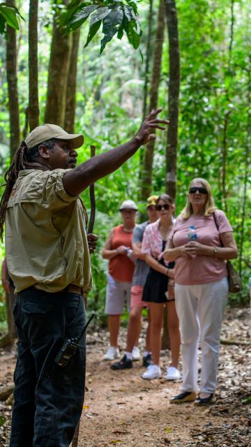 Mossman Gorge Dreamtime Walk