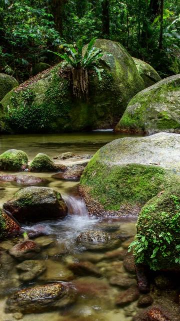 Mossman Gorge Cultural Centre