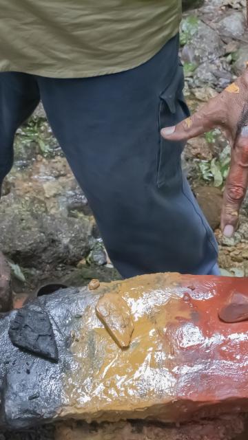 Mossman Gorge Cultural Centre Dreamtime Walk Ochre Painting