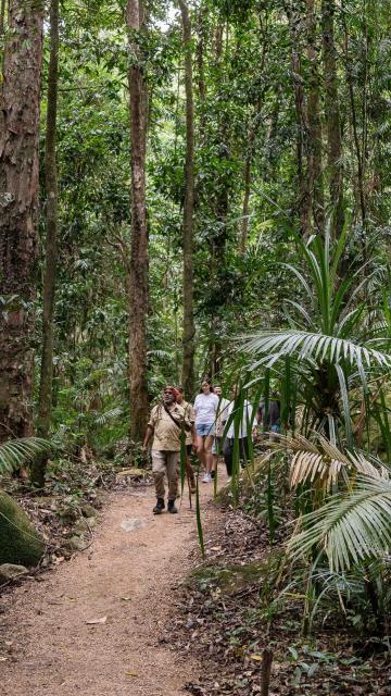Guide and group walking through Mossman Gorge on the Dreamtime