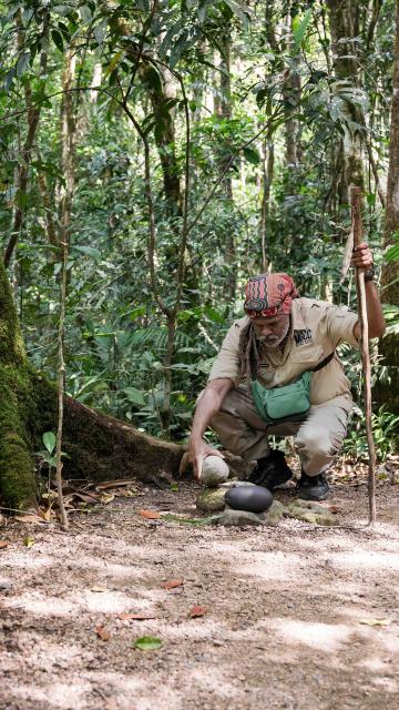 MGCC guide in Mossman Gorge