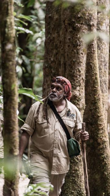 Mossman Gorge Community