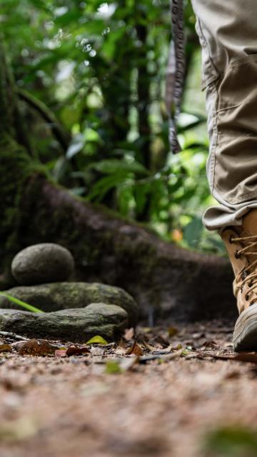 Guide walking through Mossman Gorge