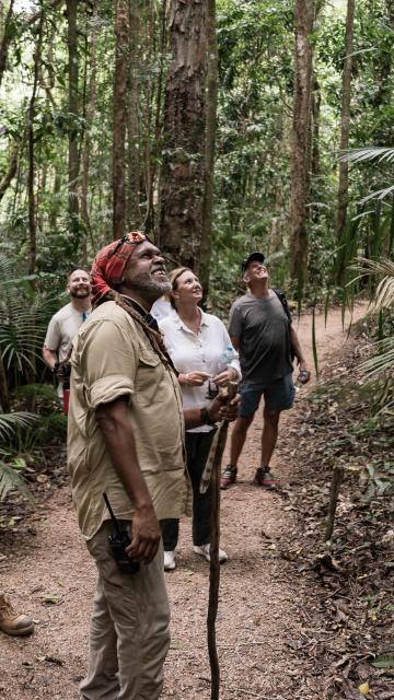 Group at Mossman Gorge looking upwards at the trees