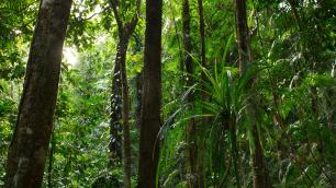 Plan Your Visit to Mossman George | Mossman George