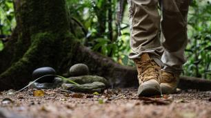 Guide walking through Mossman Gorge