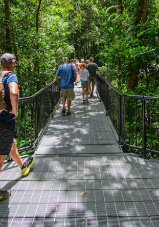 Self-guided walks at Mossman Gorge