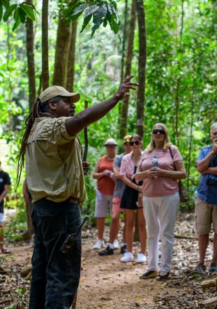 Mossman Gorge Dreamtime Walk