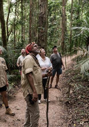 Group at Mossman Gorge looking upwards at the trees